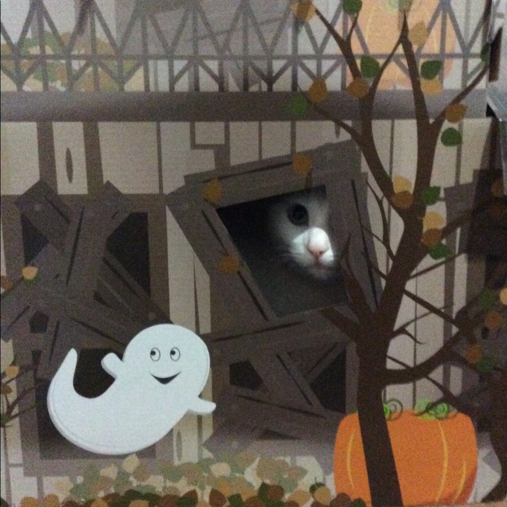 Meet your Posher, Christine